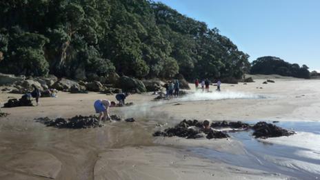 Hahei ou la ruée vers l’eau de source chaude