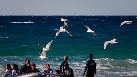 Un sauvetage de 30 heures pour une jeune baleine