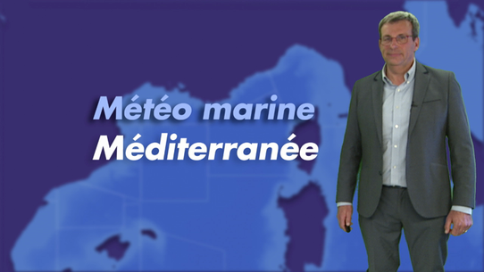 Marine - vidéo pour le bassin Méditerranéen