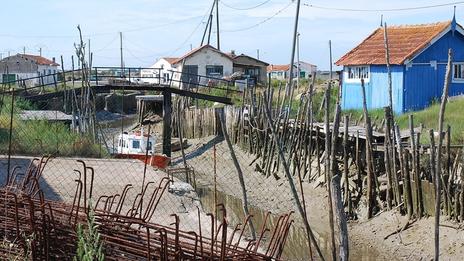 Le patrimoine prolifique du bassin de Marennes