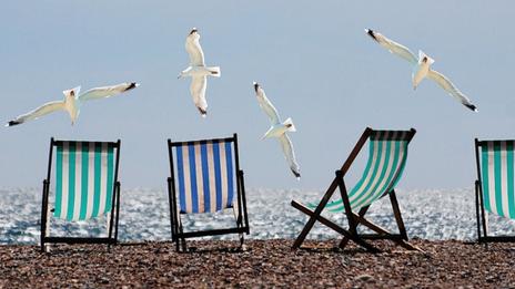 Le dilemme de l'été : mouette ou goéland ?