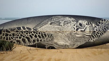 Jarryn Dower, entre surf et art