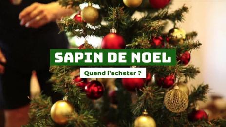 Sapin de Noël : quand faut-il l'acheter ?
