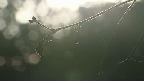La bise : ce vent venu du nord qui accentue la sensation de froid