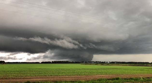 Actualités étranger