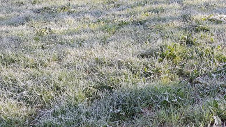Première gelée blanche en Picardie ce vendredi matin