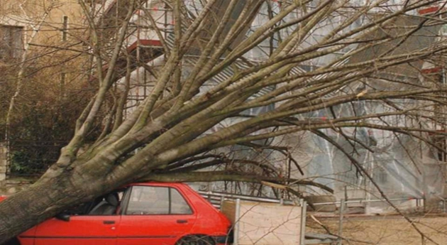 Actualités France