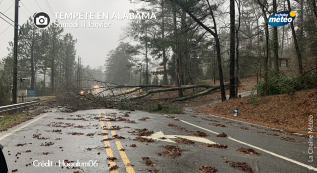 Actualités étranger