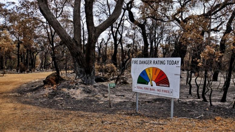 Australie : encore 69 foyers d'incendies ce dimanche
