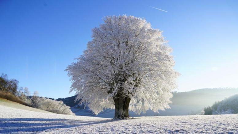 Février 2012 : la dernière grande vague de froid en France 