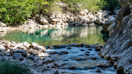 Vue sur les Gorges du Verdon