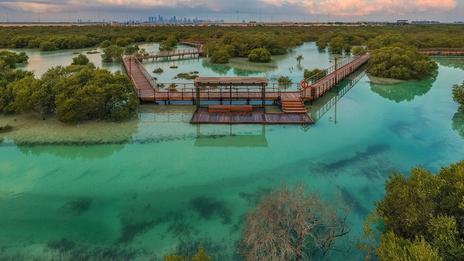A la découverte des 10 plus belles îles d'Abu Dhabi