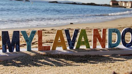 Escale au Lavandou, « cité des dauphins et des baleines »