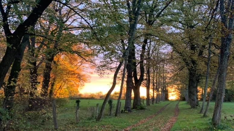 La météo des vacances de la Toussaint, semaine 2