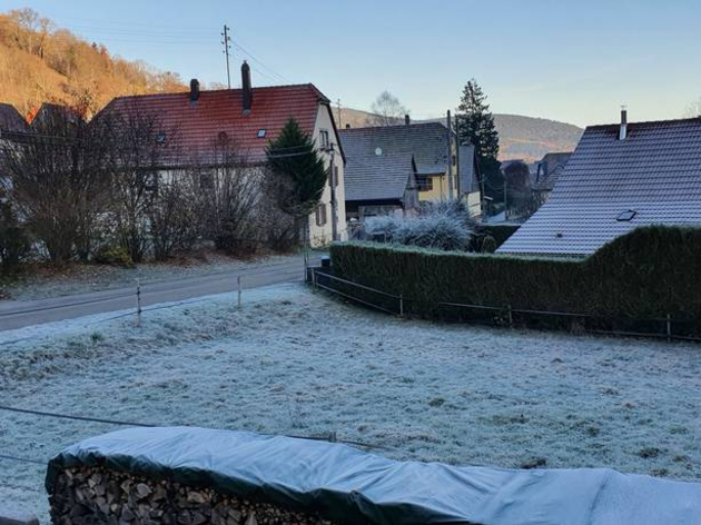 Gelée Actualités France