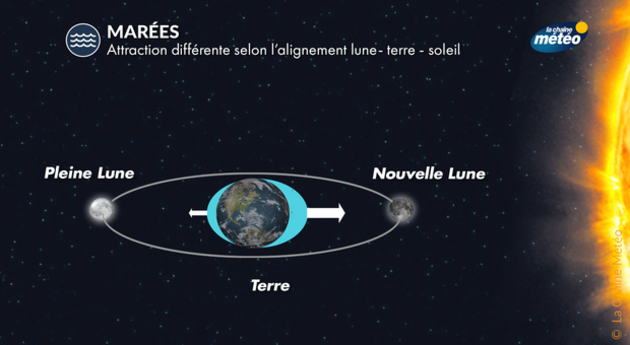 Grandes marées Actualités France