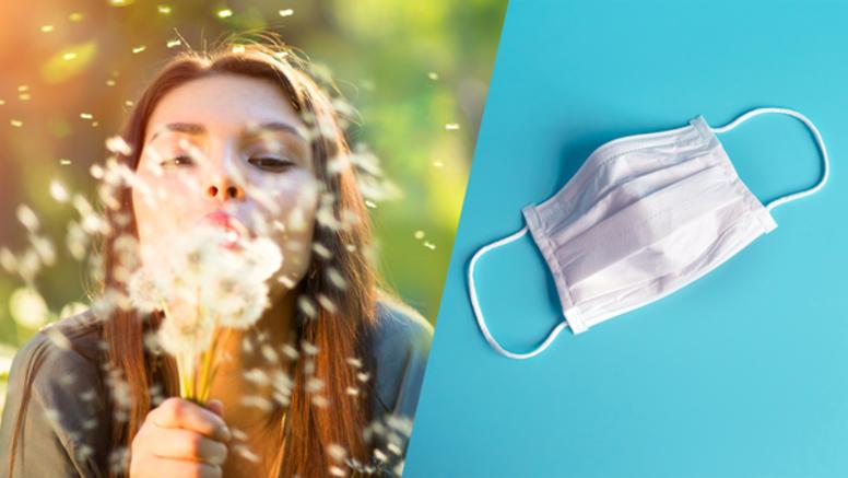 Allergies et covid-19 : l'impact des pollens sur le taux d'infection