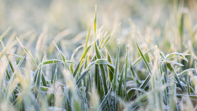 Froid : jusqu'à quand peut-il encore geler ?
