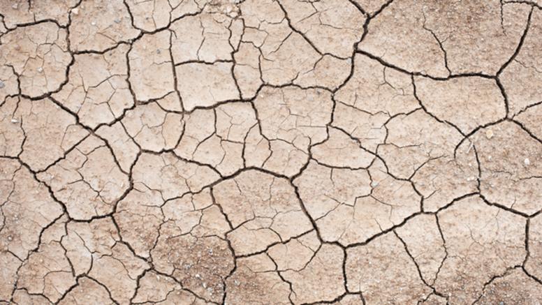 Climat : l'ouest des Etats-Unis face à une sécheresse historique