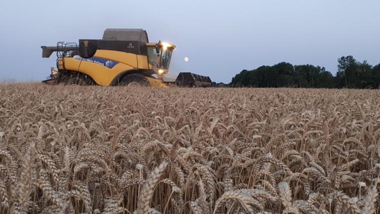 Moissons et météo : fortes pluies et orages au nord retardent les récoltes...
