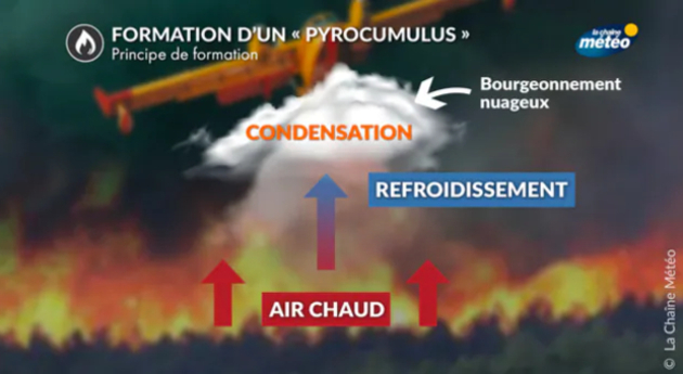 Actualités étranger