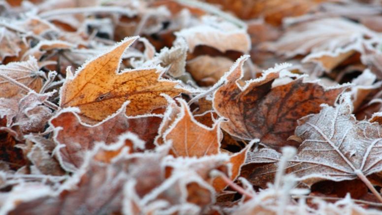 Coup de froid précoce sur l'Europe cette semaine