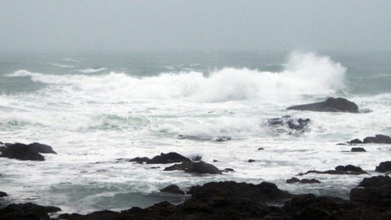 Tempêtes et coups de vent : quelle évolution ces dernières années en France ?