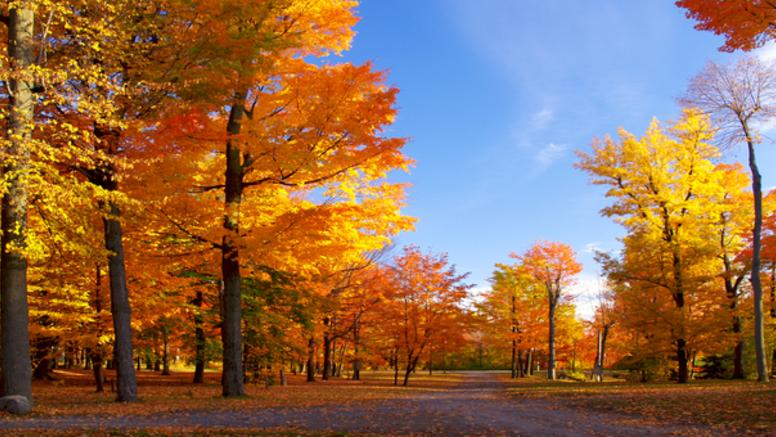 Quelle météo pour les vacances de la Toussaint ?