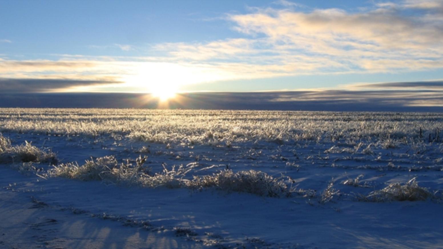 Descente d'air froid en fin de semaine : chute des températures