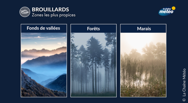 Brouillard : les zones les plus propices Actualités France