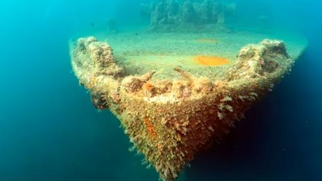 Découvrir l'épave de la Pecorella en Corse