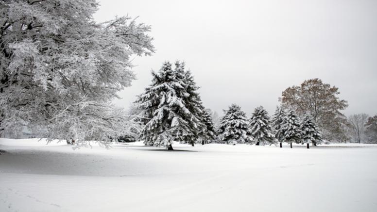 Neige en avril : un phénomène pas si rare