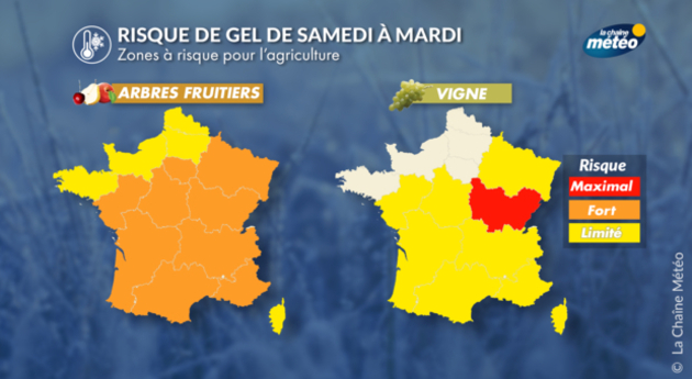 Risque de dégâts agricoles dus au gel Actualités France