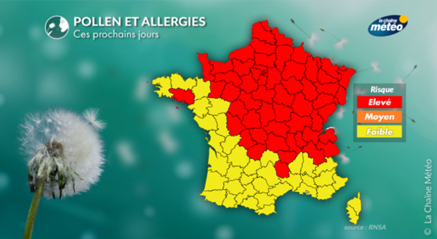 Pollen et allergies : prévisions polliniques Pollens Et Allergies