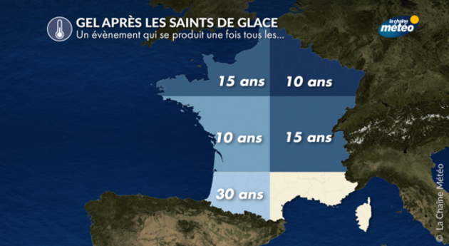 Gel après les saints de glace Actualités France