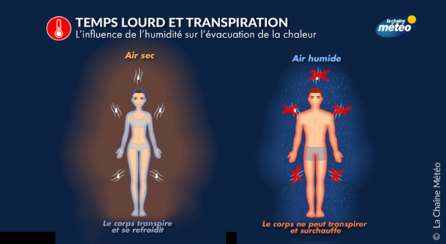 Influence de l Actualités France
