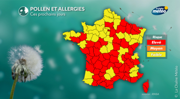 Pollens Et Allergies