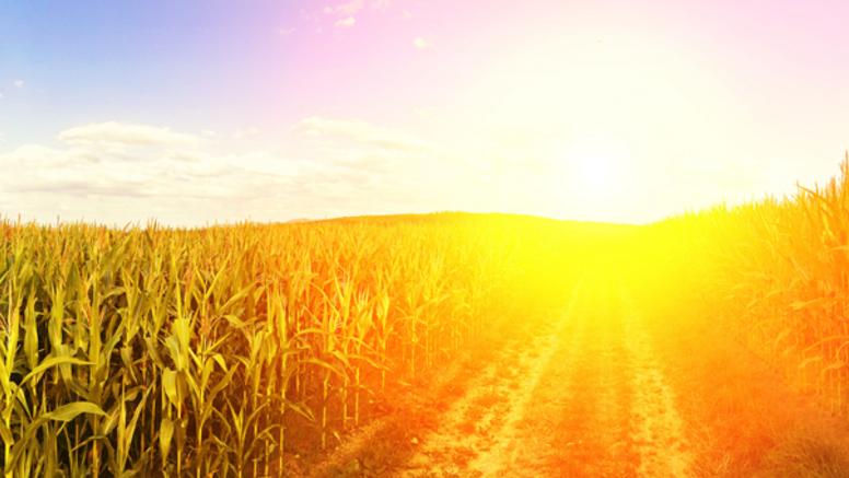 Vague de chaleur : un mois de mai déjà dans les records