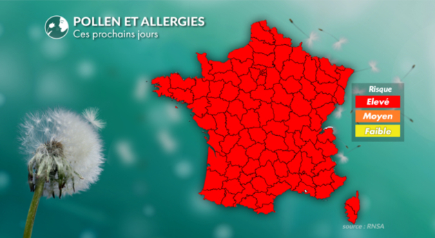 Prévisions pollinique de ces prochains jours Pollens Et Allergies