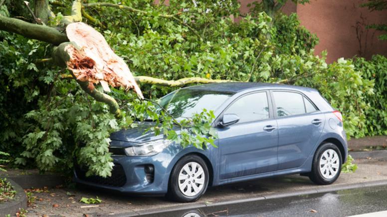 Grêle, inondations, vent : comment obtenir un certificat d'intempéries pour votre assureur ?