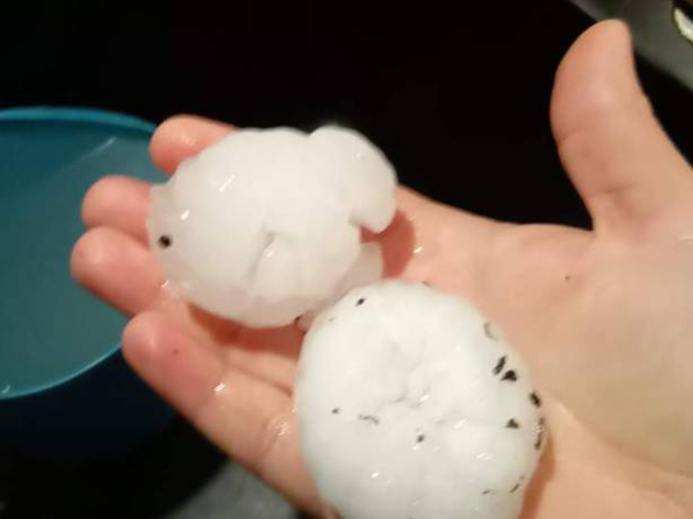 Grelons belfort Actualités France