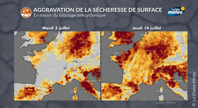 Sécheresse et faible humidité des sols Actualités France