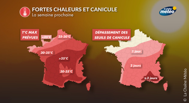Vers la 46ème vague de chaleur la semaine prochaine Actualités France