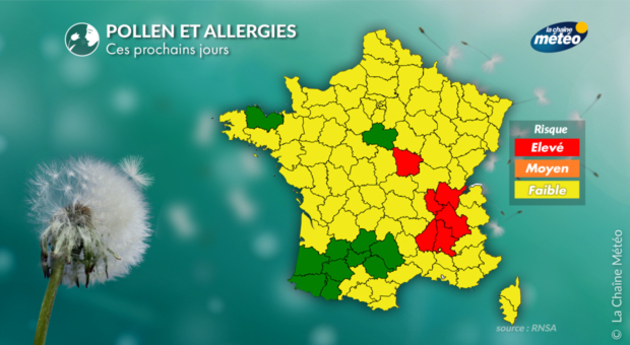Pollens Pollens Et Allergies