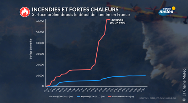 Eté 2022 : 62000 hectares brulés Actualités France