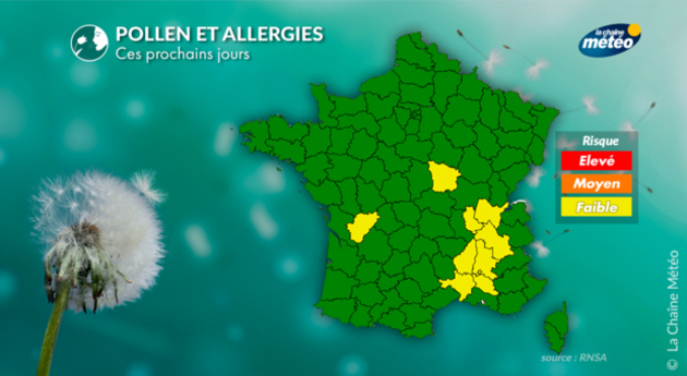 Prévisions polliniques pour les prochains jours Pollens Et Allergies