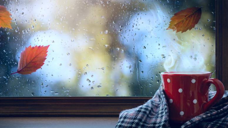 Pluie, vent, neige, froid : un vrai temps d'automne cette semaine