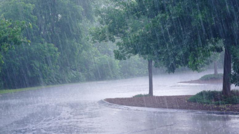 Sécheresse en France : amélioration généralisée cette semaine