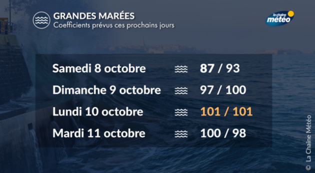 Grandes marées Actualités France