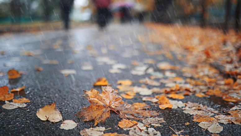 Les pluies qui arrivent resteront insuffisantes